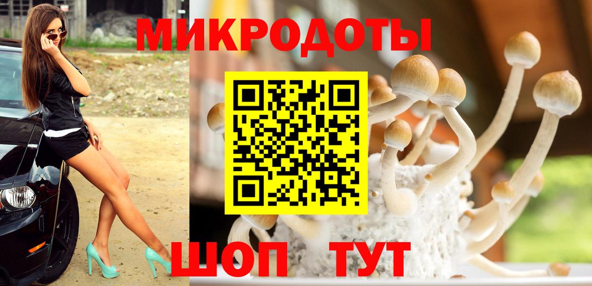 Псилоцибиновые грибы MAGIC MUSHROOMS  Вход с VPN  Галлюциногенные грибы MAGIC MUSHROOMS  где продают   Кисловодск 